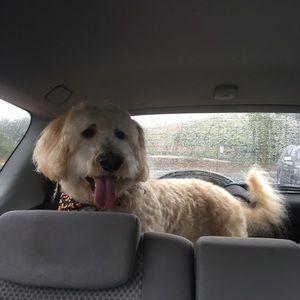 Meet your Posher, Jonah